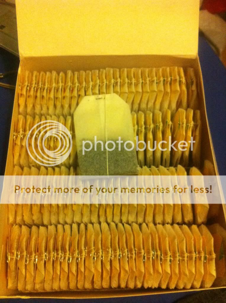 Posted Image