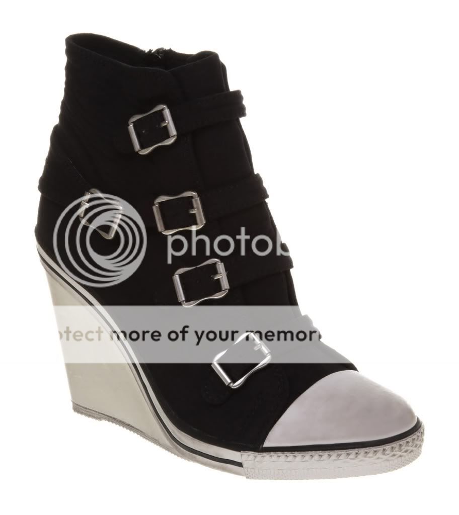 Ash TWIST BUCKLE WEDGE BLACK CANVAS
