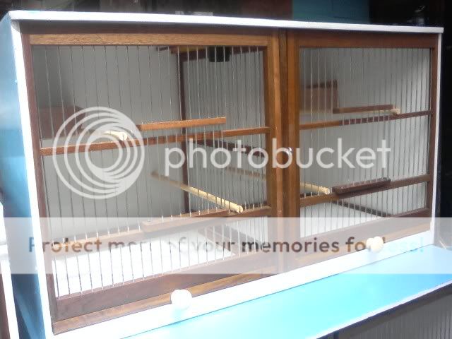 Lapak Jual Beli Lovebirds Ternak Burung Lapak Jual Beli Lovebirds Ternak Burung