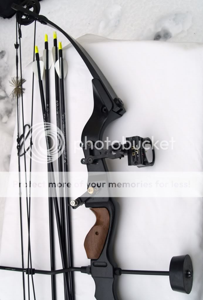Clearwater RH Compound Bow Loaded Arrows Sight Black NR eBay