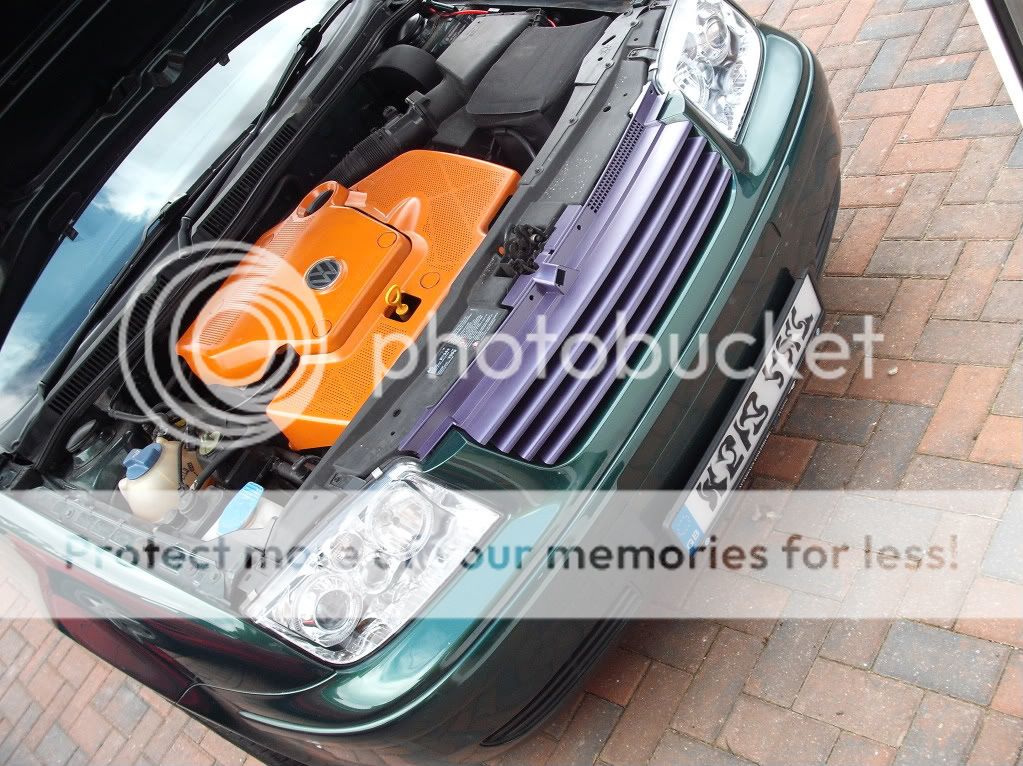 Posted Image
