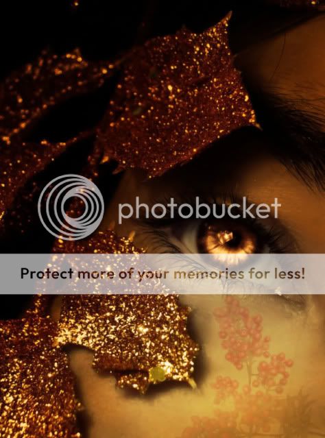 holly heart by silentstarelly dA