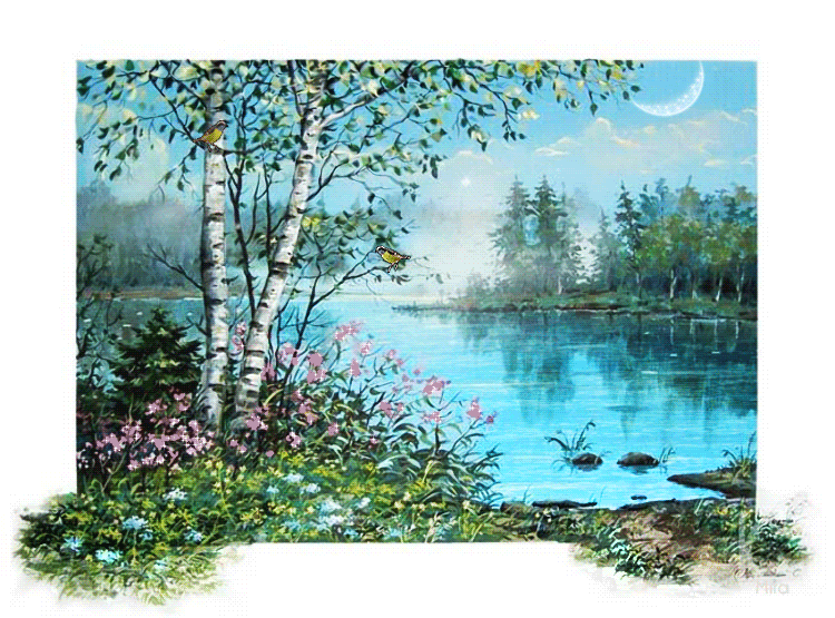 Lake and Flowers Pictures, Images and Photos