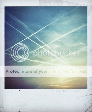 polaroid. Pictures, Images and Photos