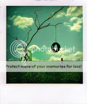 polaroid. Pictures, Images and Photos